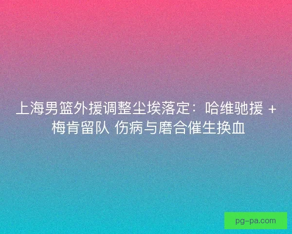 上海男篮外援调整尘埃落定：哈维驰援 + 梅肯留队 伤病与磨合催生换血