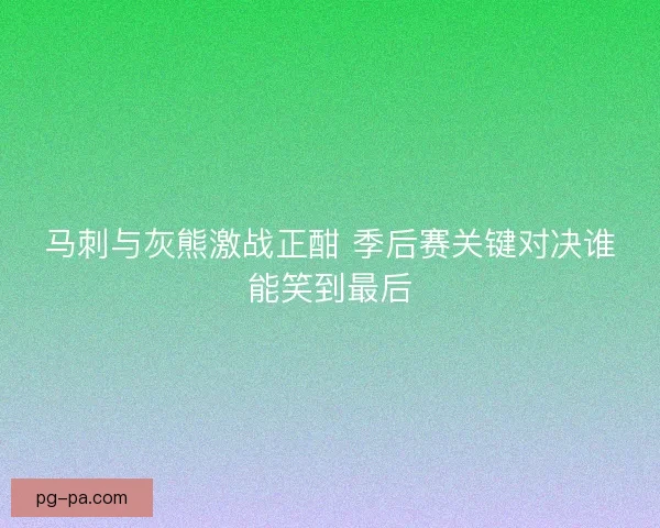 马刺与灰熊激战正酣 季后赛关键对决谁能笑到最后 马刺与灰熊激战正酣 季后赛关键对决谁能笑到最后