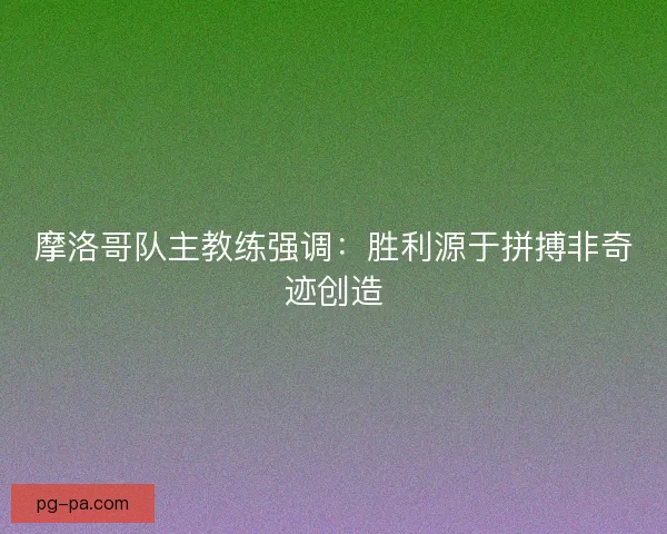 摩洛哥队主教练强调：胜利源于拼搏非奇迹创造